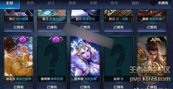 新皮肤爆料最新版下载,最新版下载抢先体验，视觉盛宴来袭！